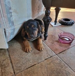 Meet your Posher, Deborah